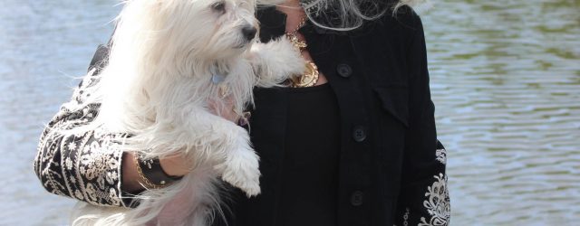 The Woodlands Texas, blogger, Top Houston Blogs, bloggers over 50, bloggers over 40, Houston, Stephanie Sjoberg, Luxor, stylist in the Woodlands, Houston fashion, Johnny Was The Woodlands, embroidered jacket, gucci belt, Gucci glasses, adopt don;t shop