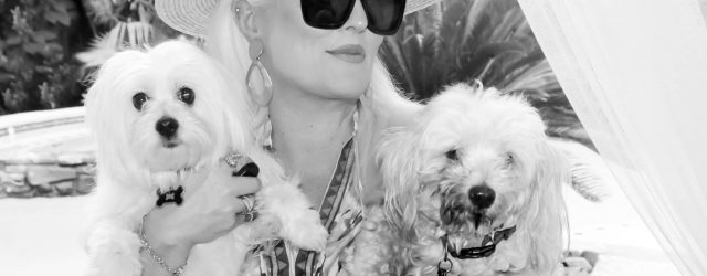 Quay Sunglasses Johnny was kaftan, Johnny Was hat, stra hat, summer hat, Luxor Living and Style, blog, Houston bloggers, Stephanie Sjoberg, over 50 bloggers, summer style, style over 50, ootd, dogmom