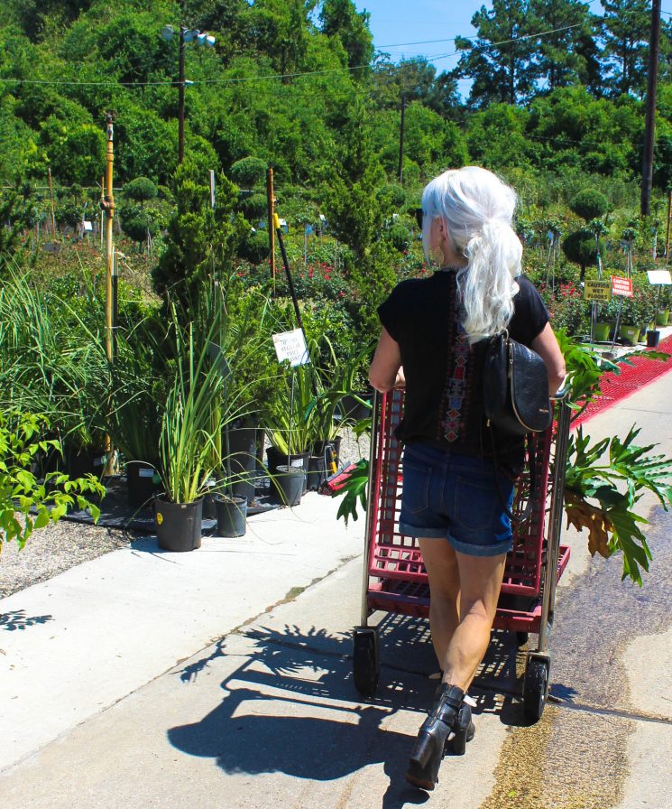 Houston Garden Center, The Woodlands, Texas, Luxor Living and Style,