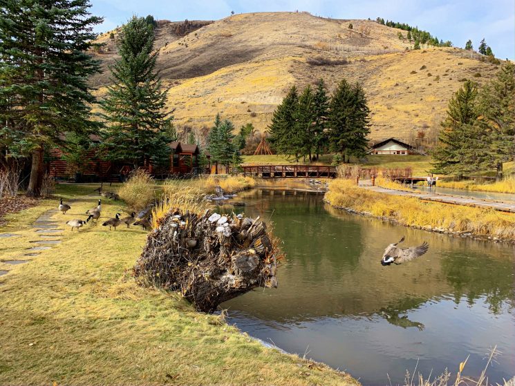 Luxor Living and Style, travel blog, travel to Wyoming, hotel review in Jackson Hole, travel to Jackson Hole, Rustic Inn