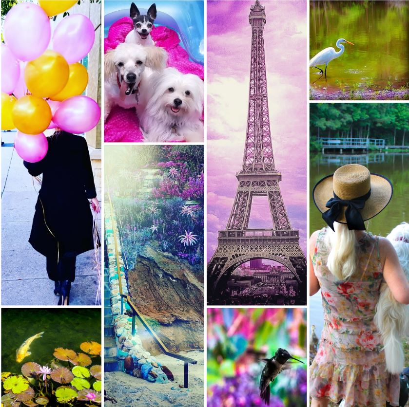 blogger photos