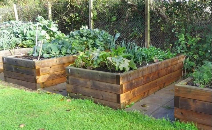 raised garden, home garden, garden on top of concrete, garden ideas, vegetable garden, home and garden, blogger