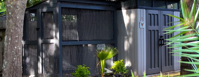 chicken coop, dark gray coop, custom chicken mansion, Texas chicken coop, stylish chicken coop, glam coop,