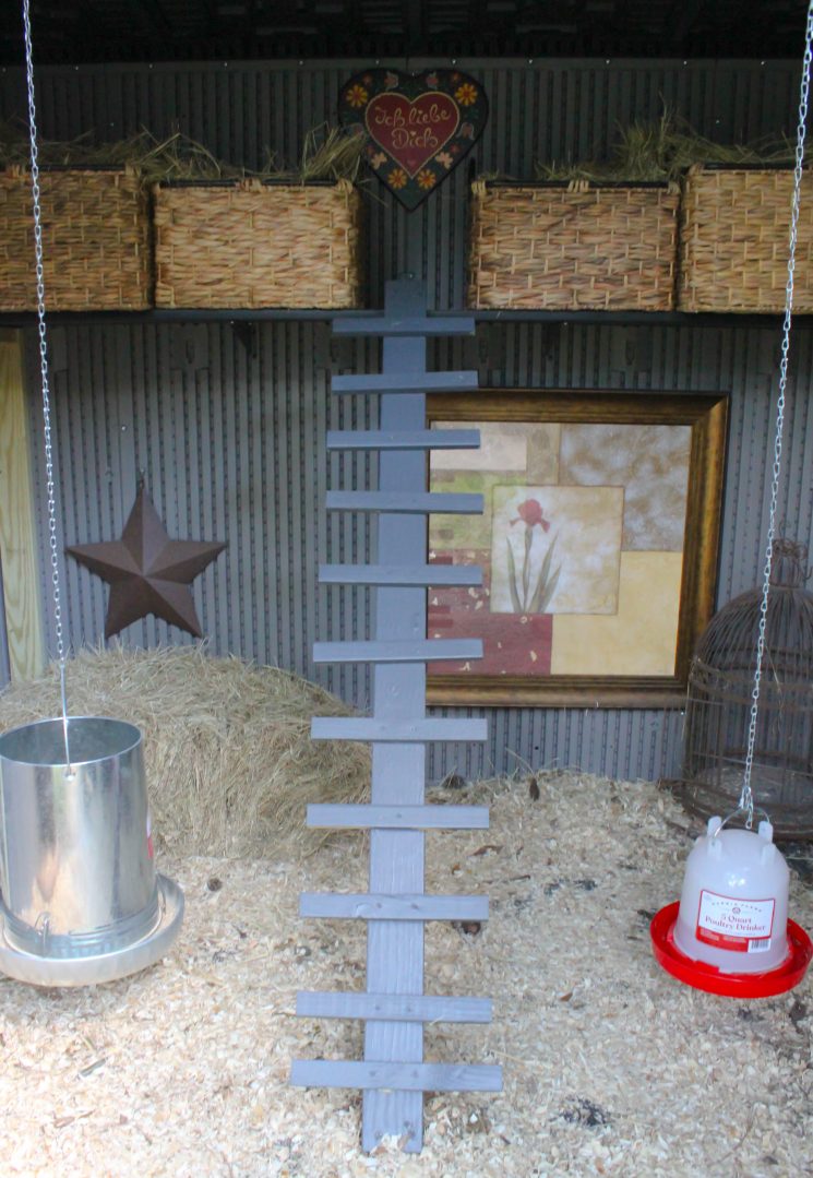 Costco building, chicken coop, dog run, glam coop, gray coop
pretty chicken coops, Texas chicken coops, chicken mom, glam chicken mansion
chicken barn, glam chicken mansion