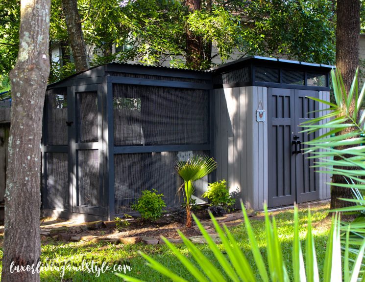 glam chicken coop, gray chicken coop, coop and chicken run, classy chicken coop, pet chickens,
DIY chicken coop
dog run
